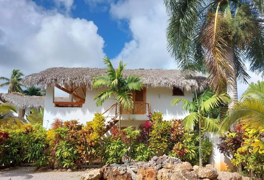 Apartamento las palmeras