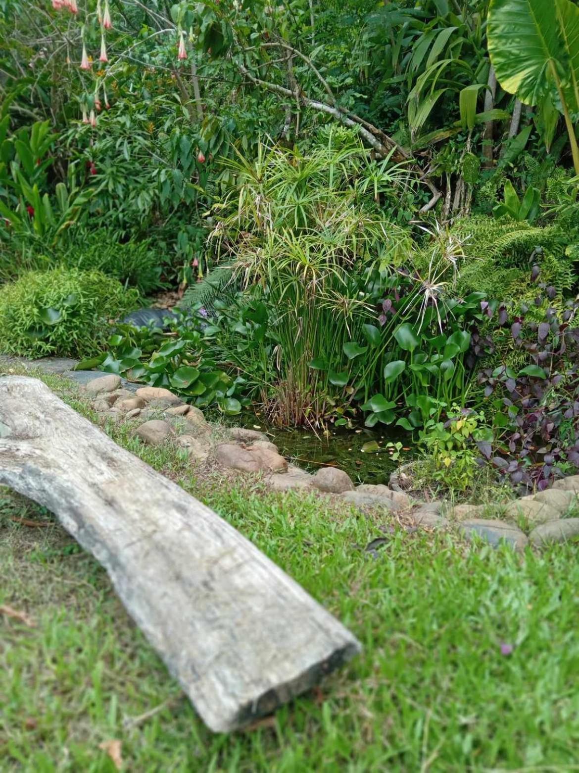 La pirogue enchantée maison karukera