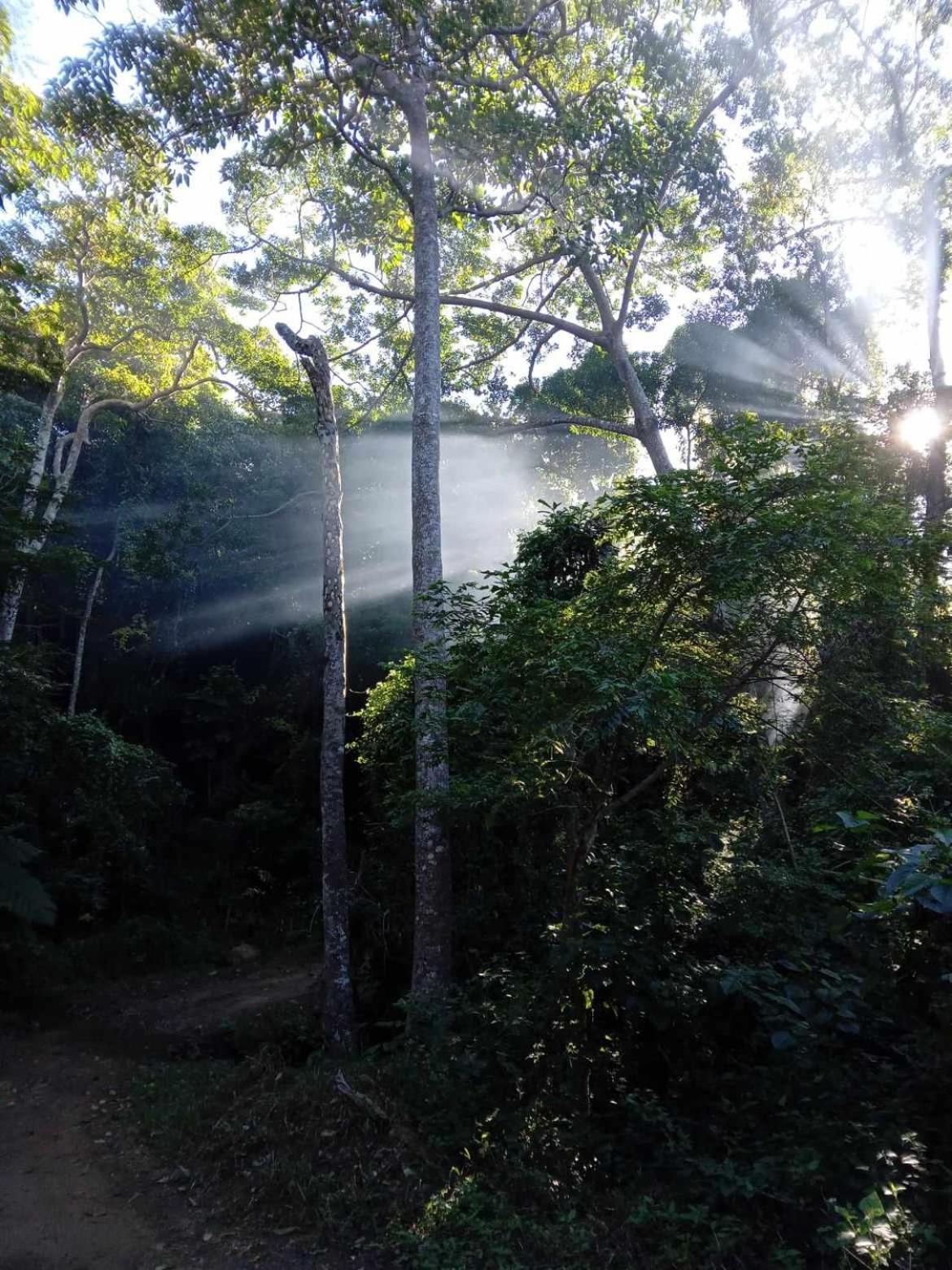 La pirogue enchantée maison karukera