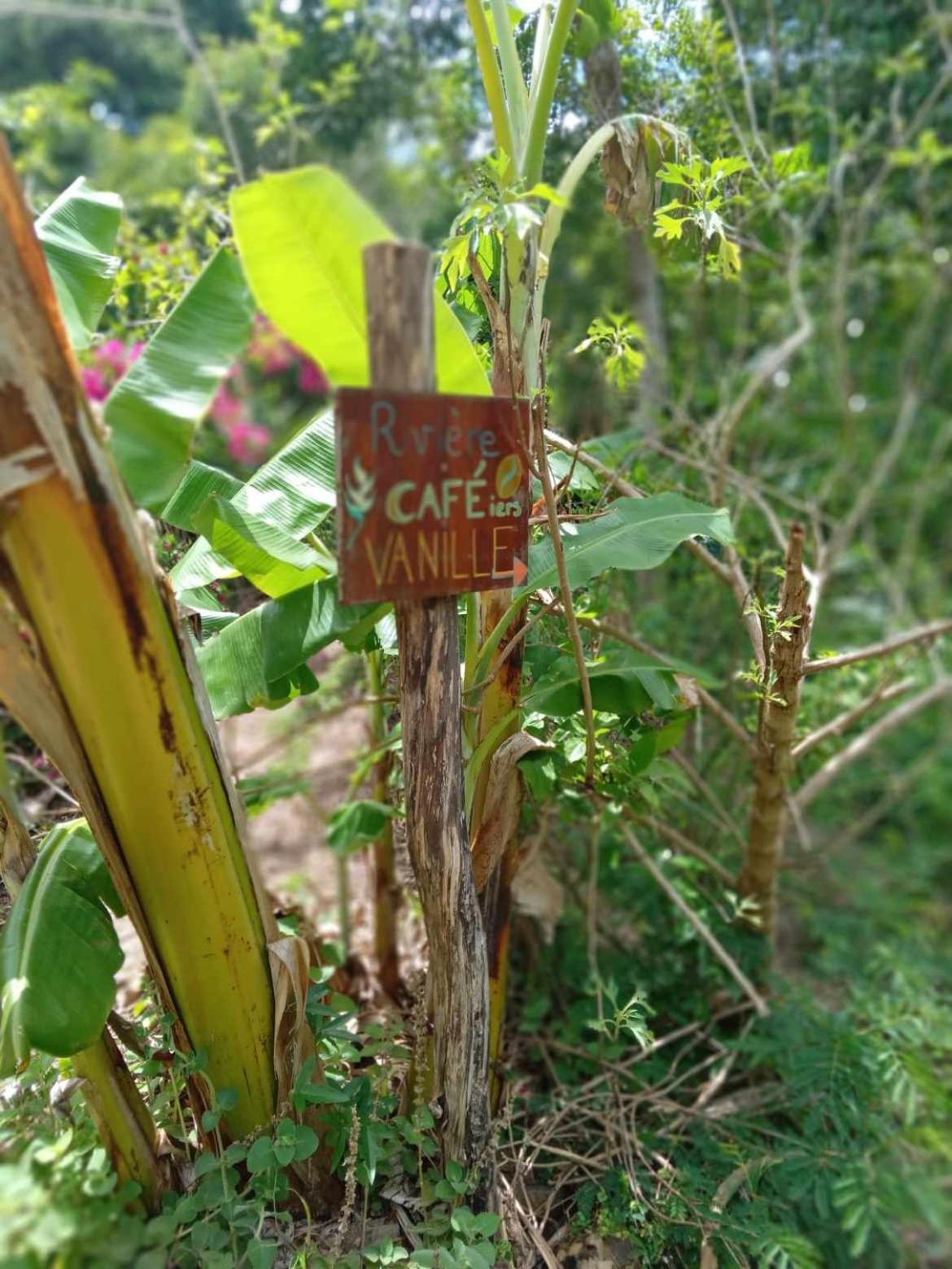 La pirogue enchantée maison karukera