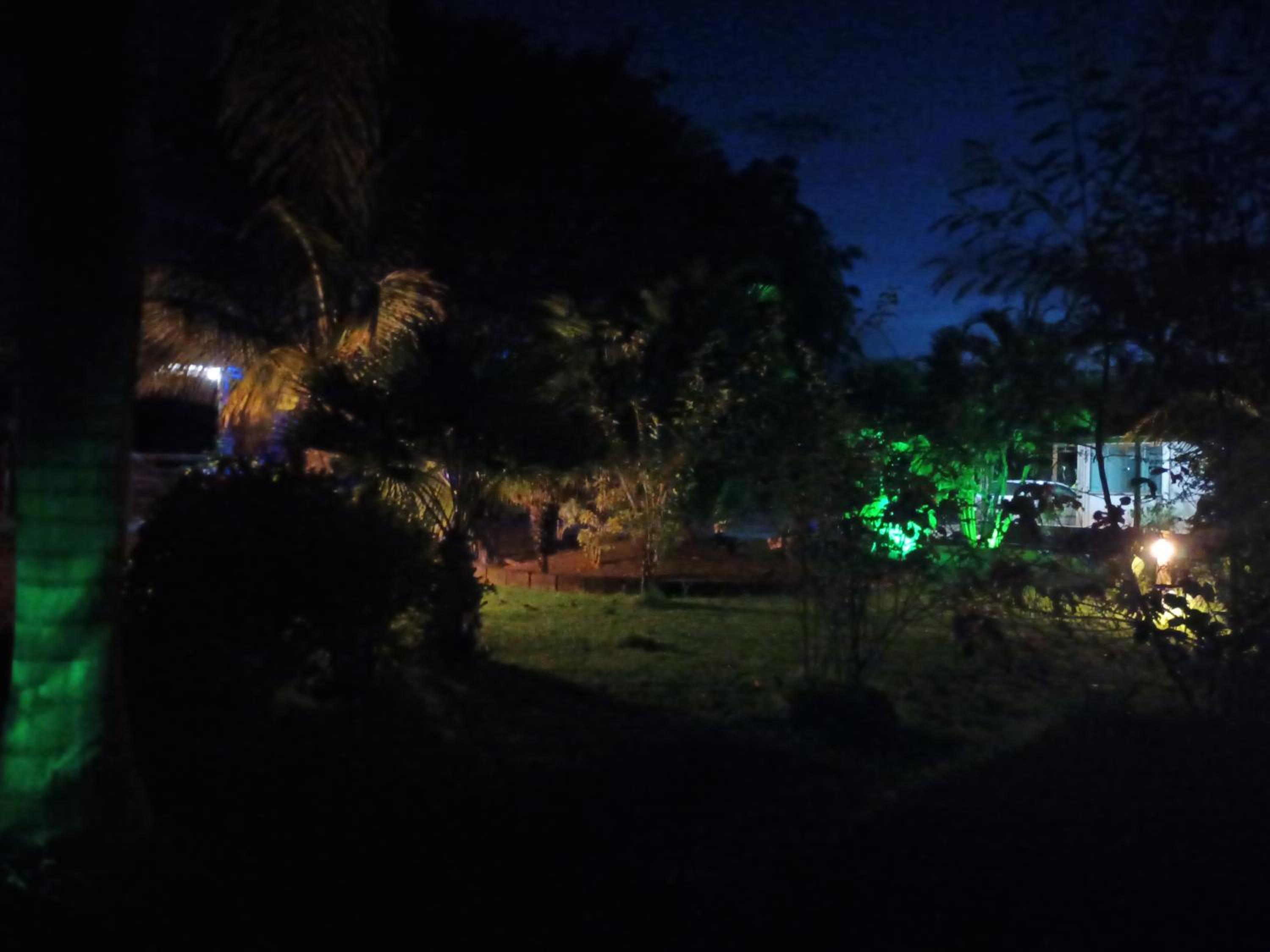 Photo 42