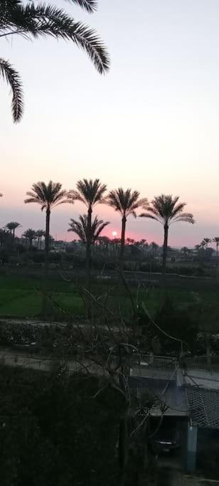 Loulouat Al Reef