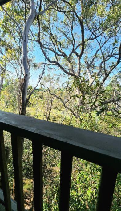 The Black Cockatoo - Secret Garden Treetops Home