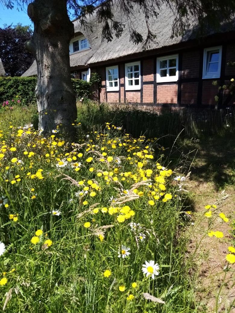 Ferienhaus Nostalgische Auszeit