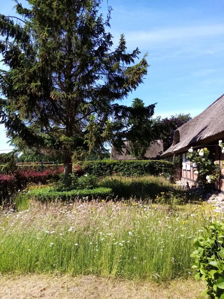 Ferienhaus Nostalgische Auszeit