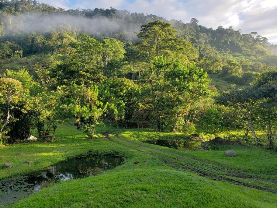 Studio House in Eco-Farm: nature, relaxing, hiking