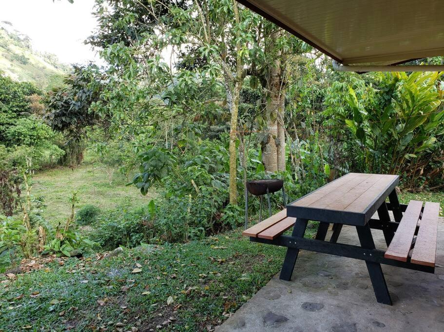 Studio House in Eco-Farm: nature, relaxing, hiking
