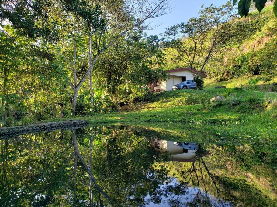 Studio House in Eco-Farm: nature, relaxing, hiking