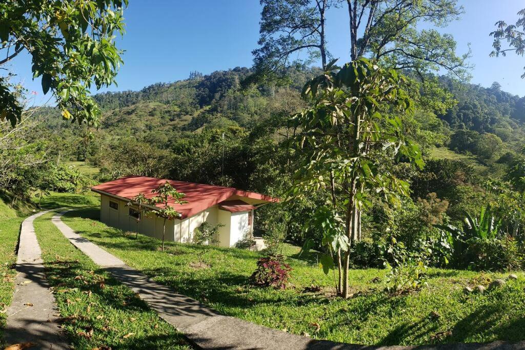 Studio House in Eco-Farm: nature, relaxing, hiking