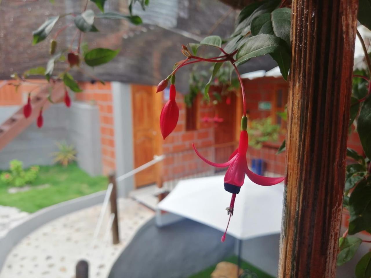 HOSTAL FAMAR
