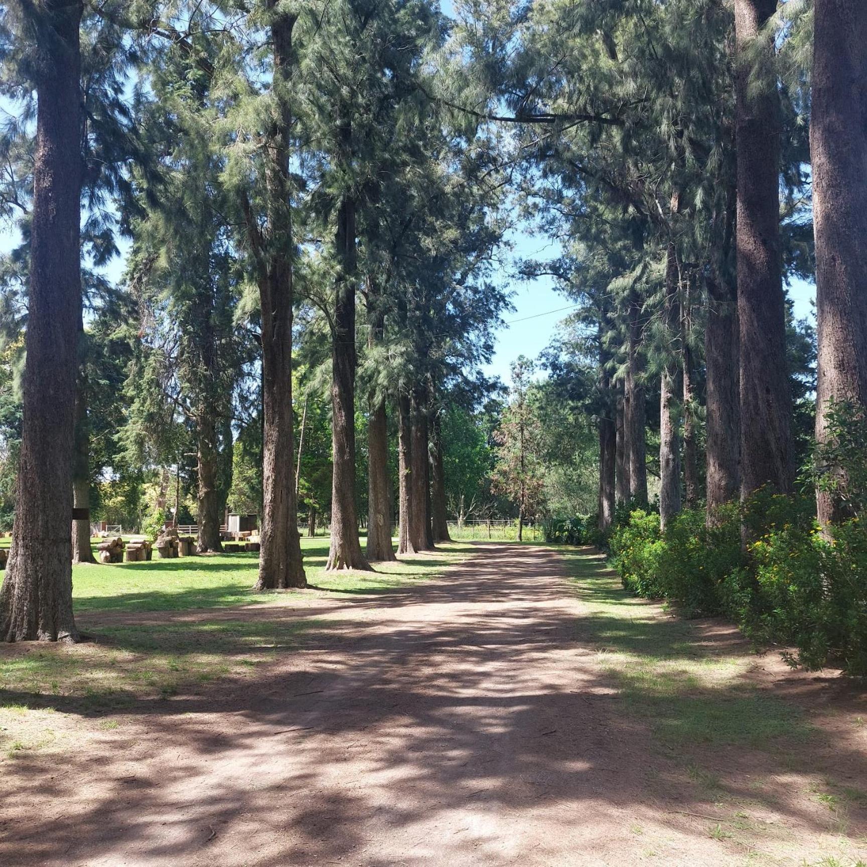 Cabaña - El Bamboo Eventos