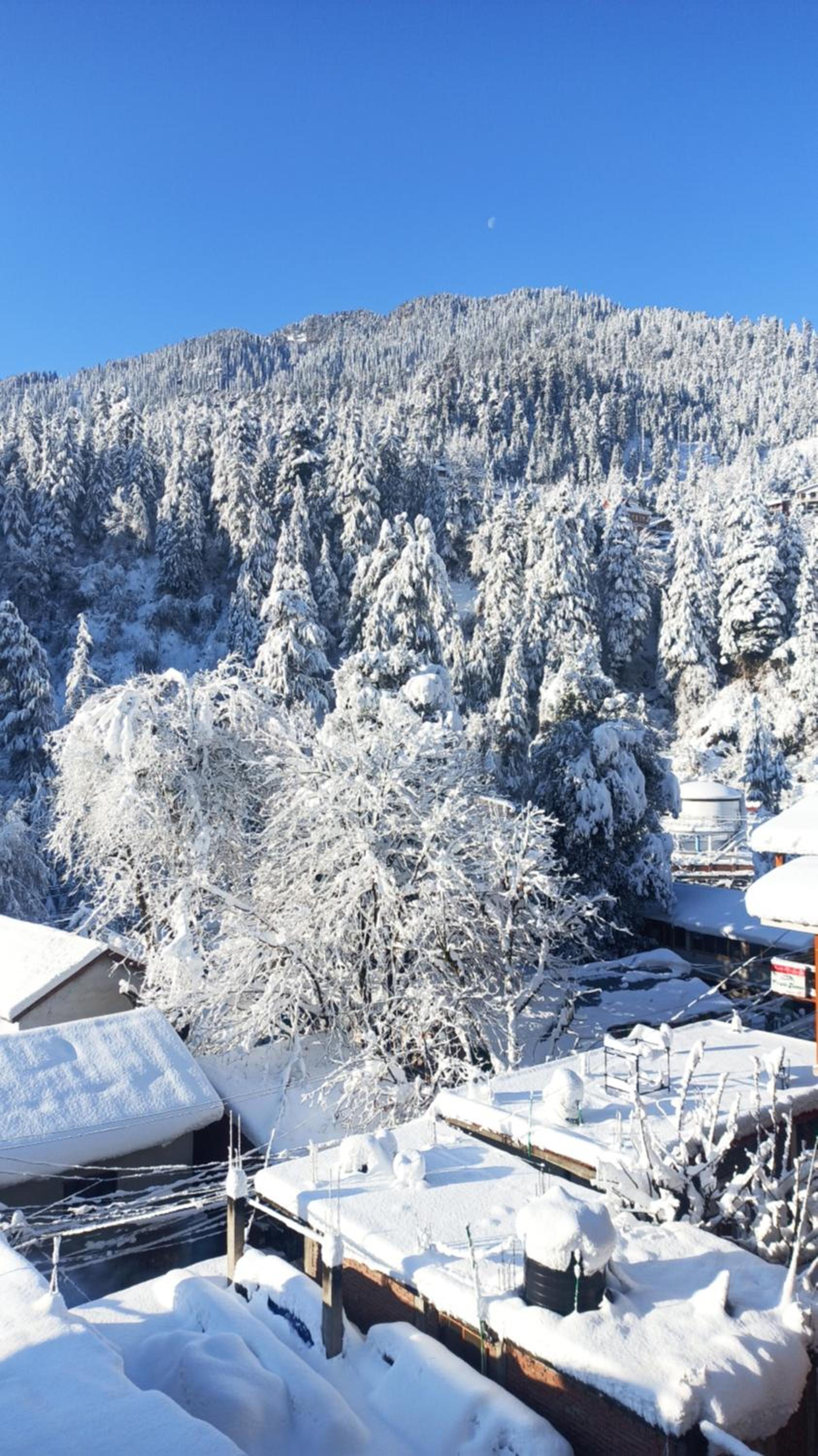 Wood Stone Homestay view 3