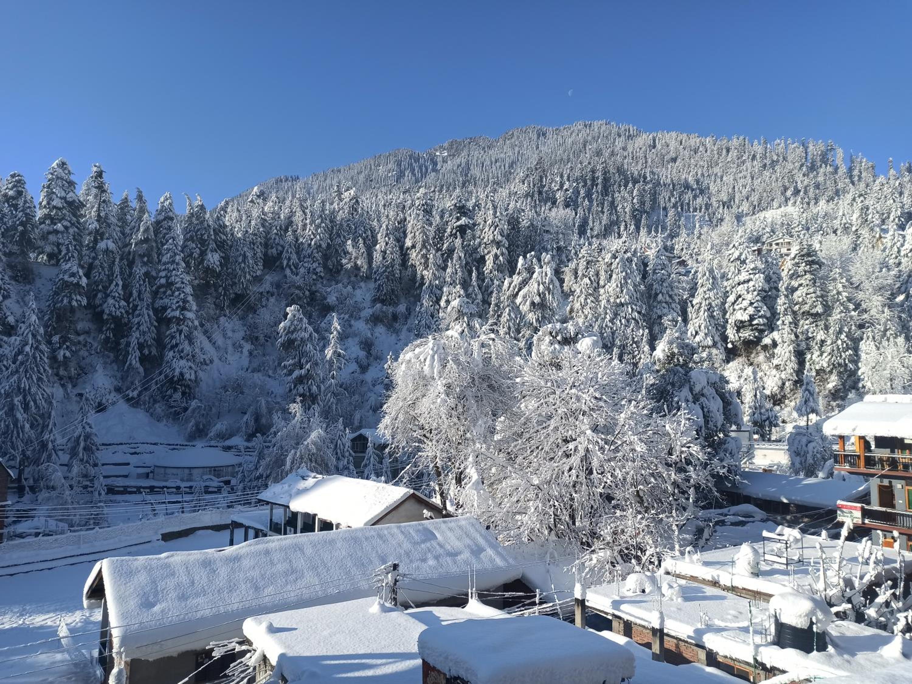 Wood Stone Homestay view 5