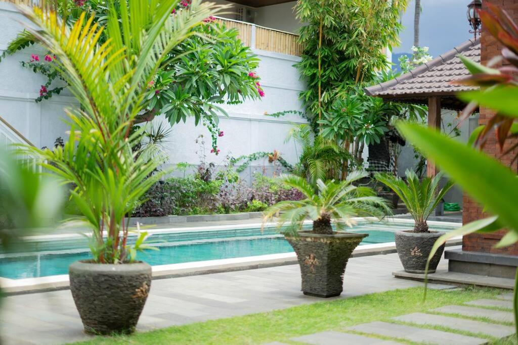 Dani Vila, 2BR, Pool, enclosed kitchen and living area at Buleleng, North Bali view 3