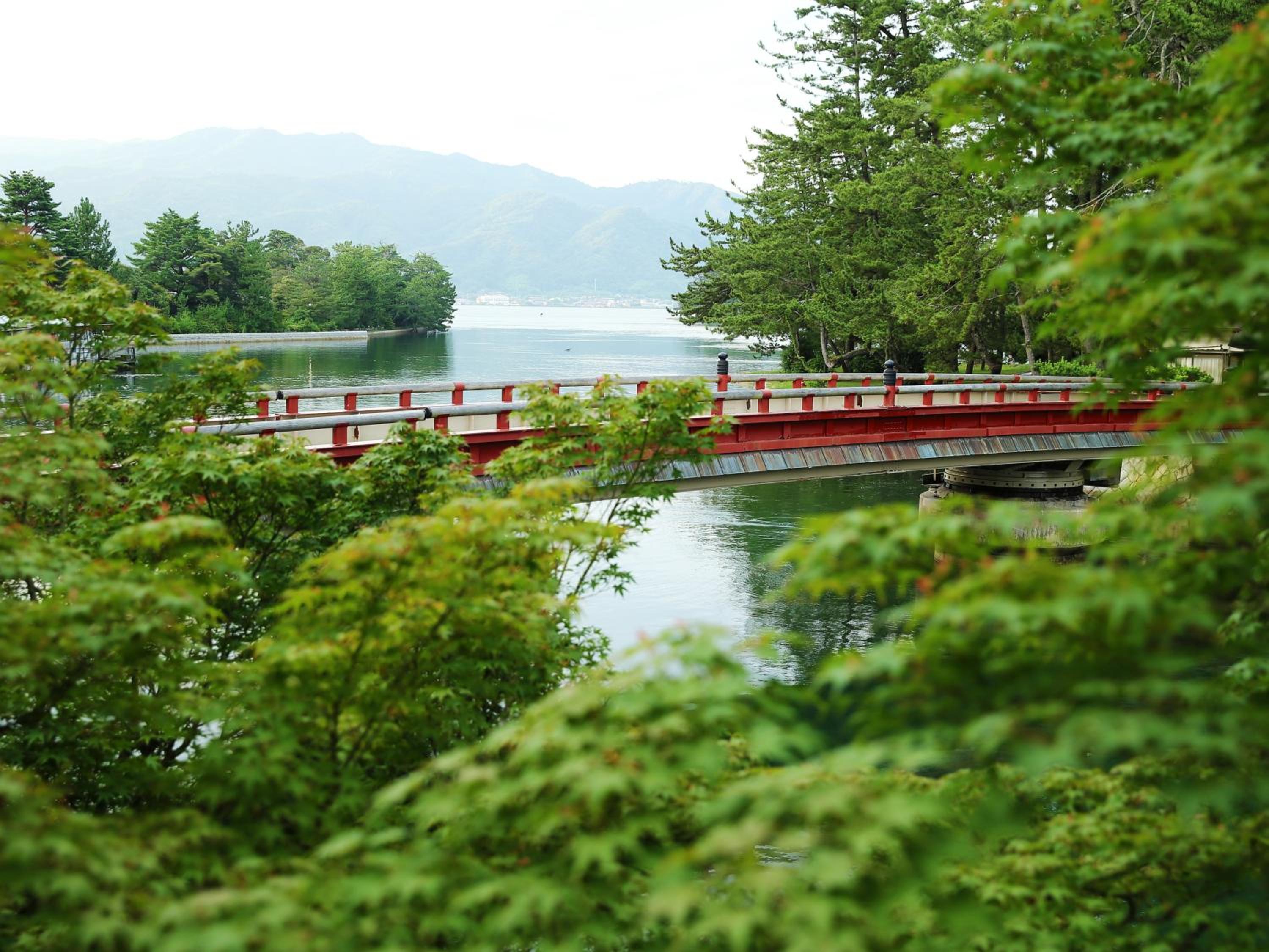 Taikyourou