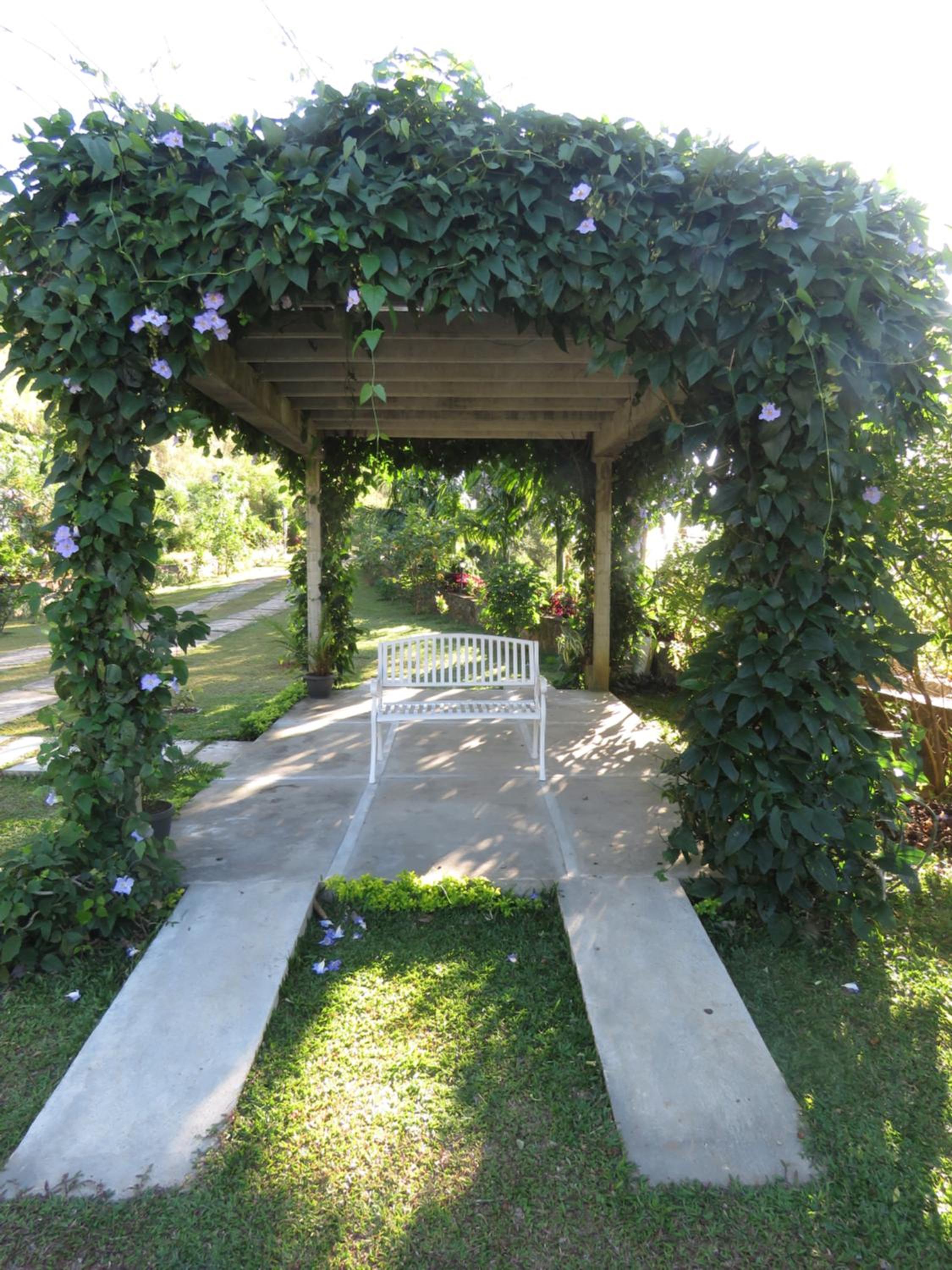 Photo 22