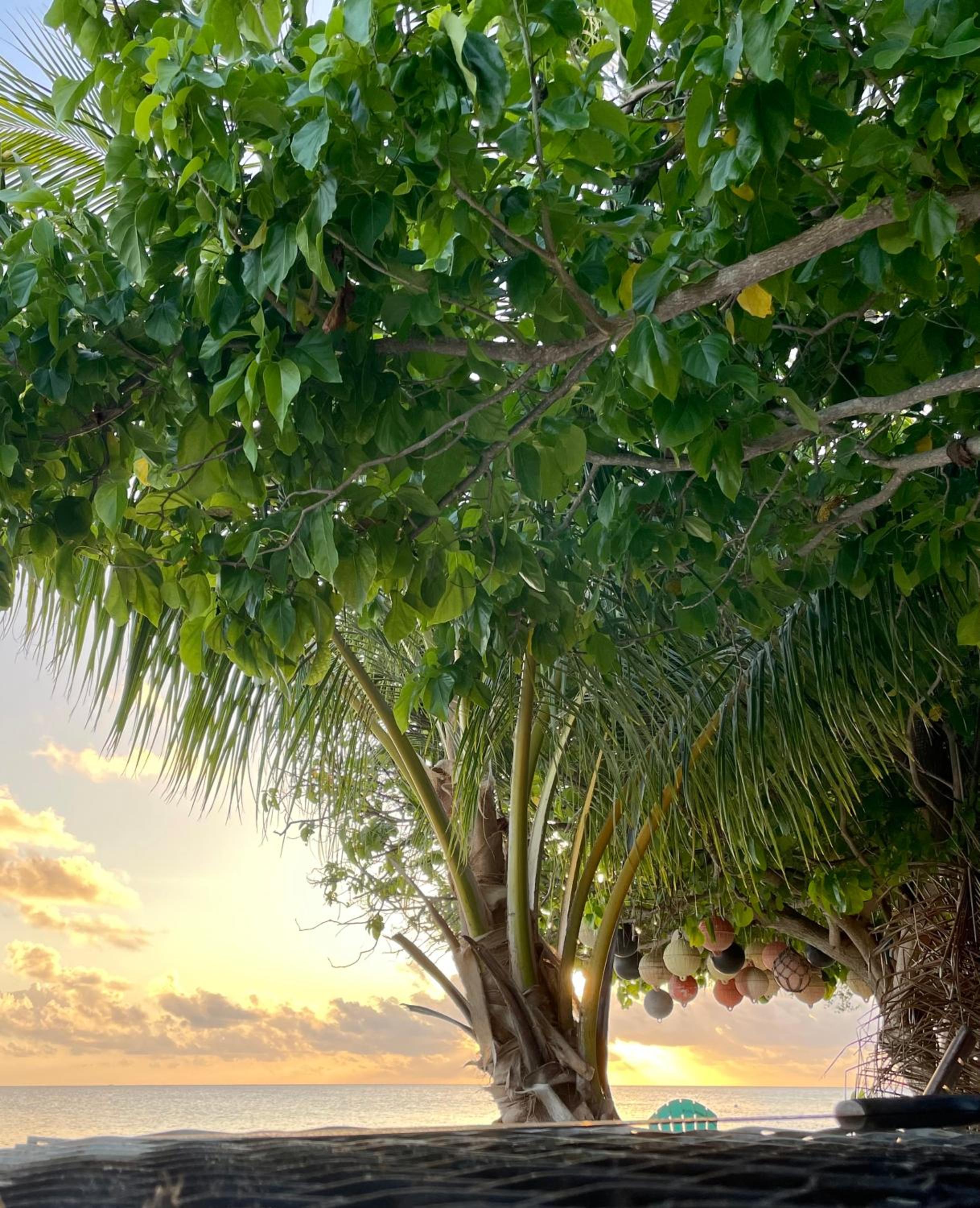 Rangiroa Beach House