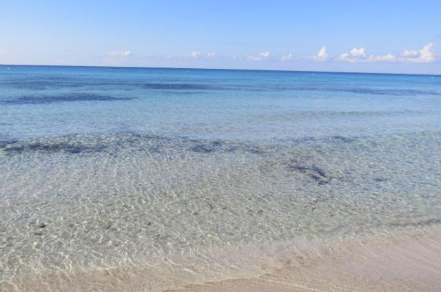 LUCKY Grazioso appartamento vista mare