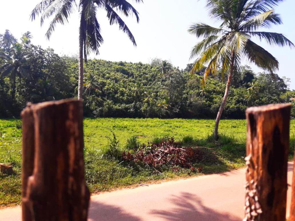Dew Villa view 2