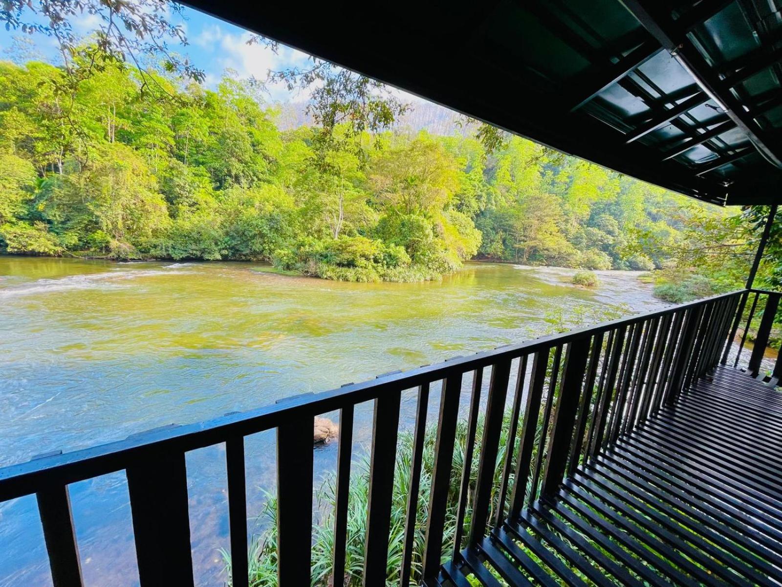 The Magical Tree House view 5