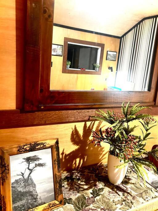 Conlan Springs Cottage
