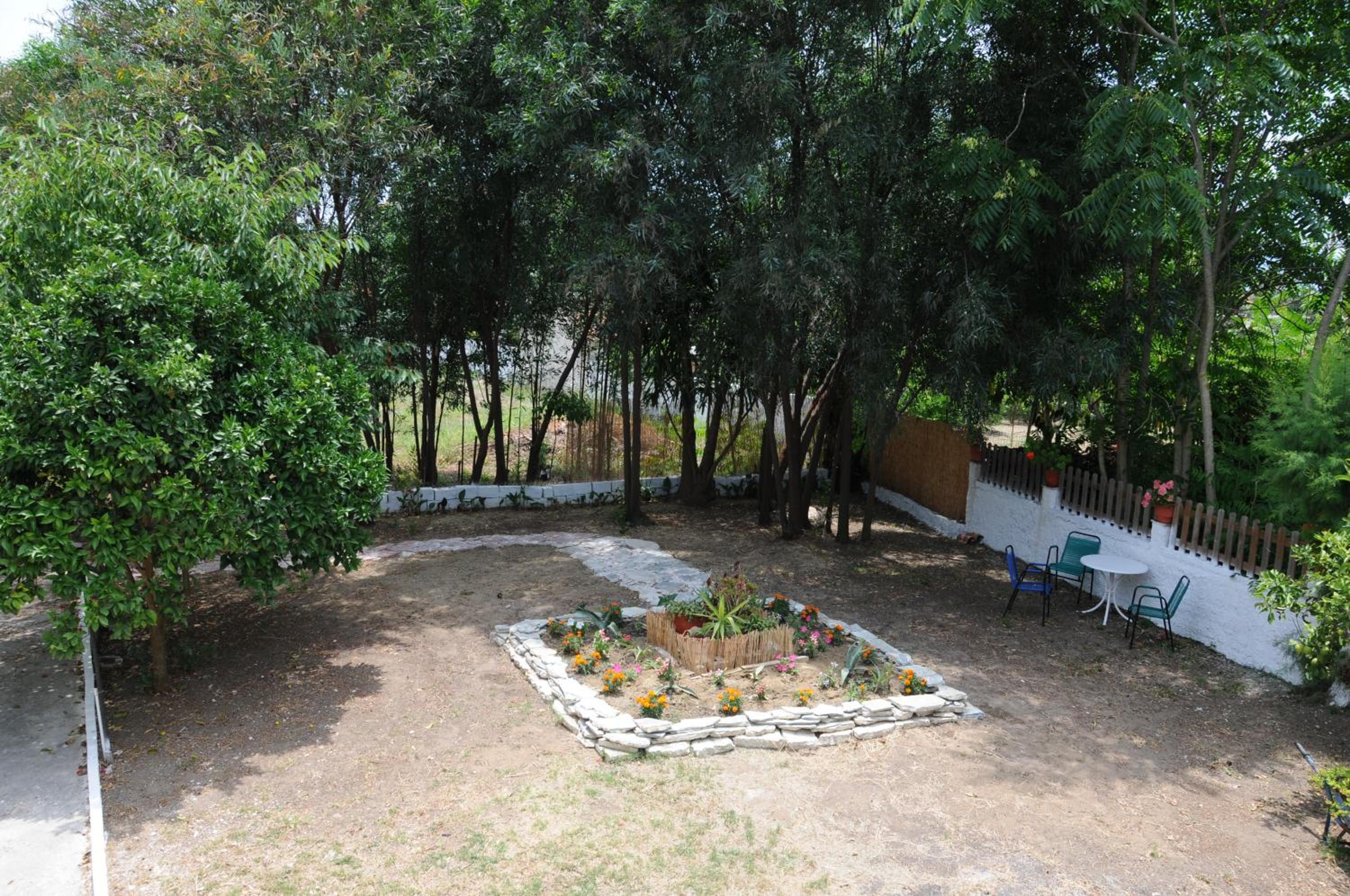 Photo 16