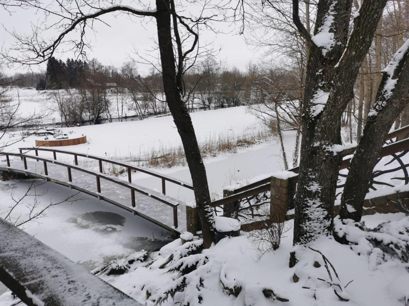 Ąžuolas