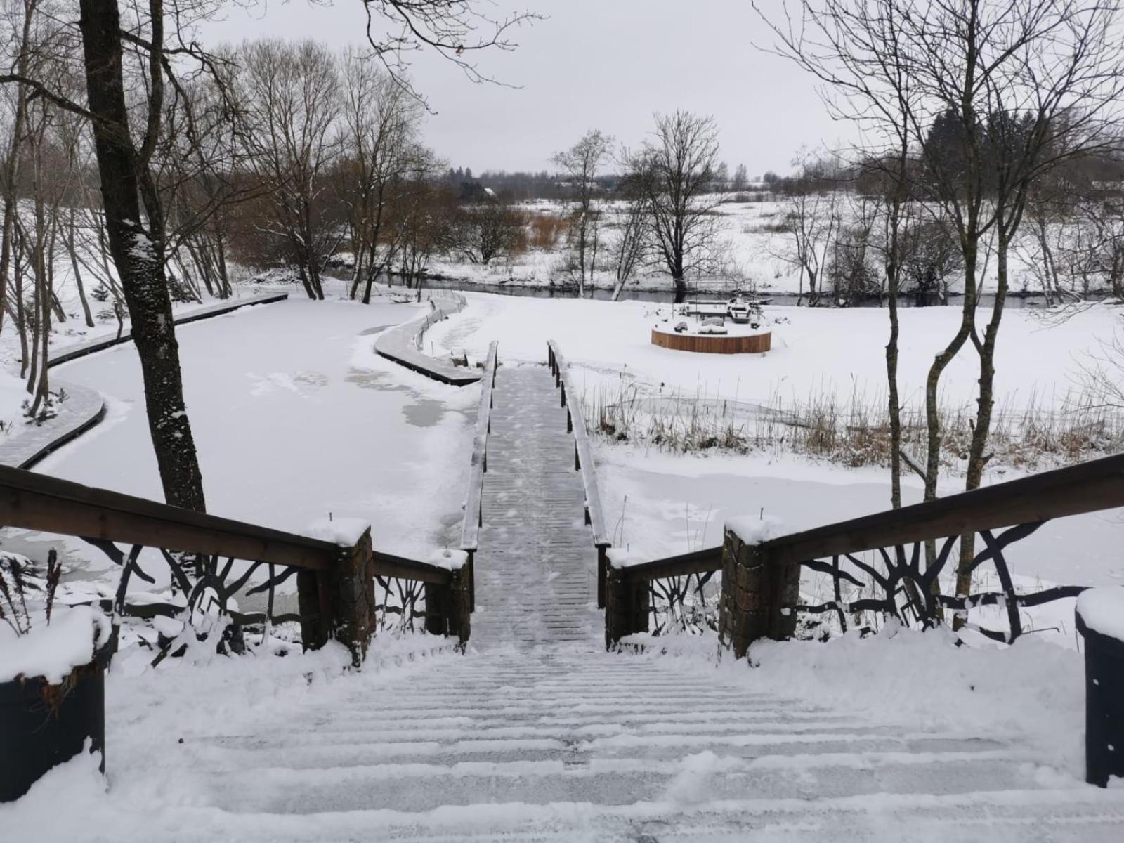 Ąžuolas