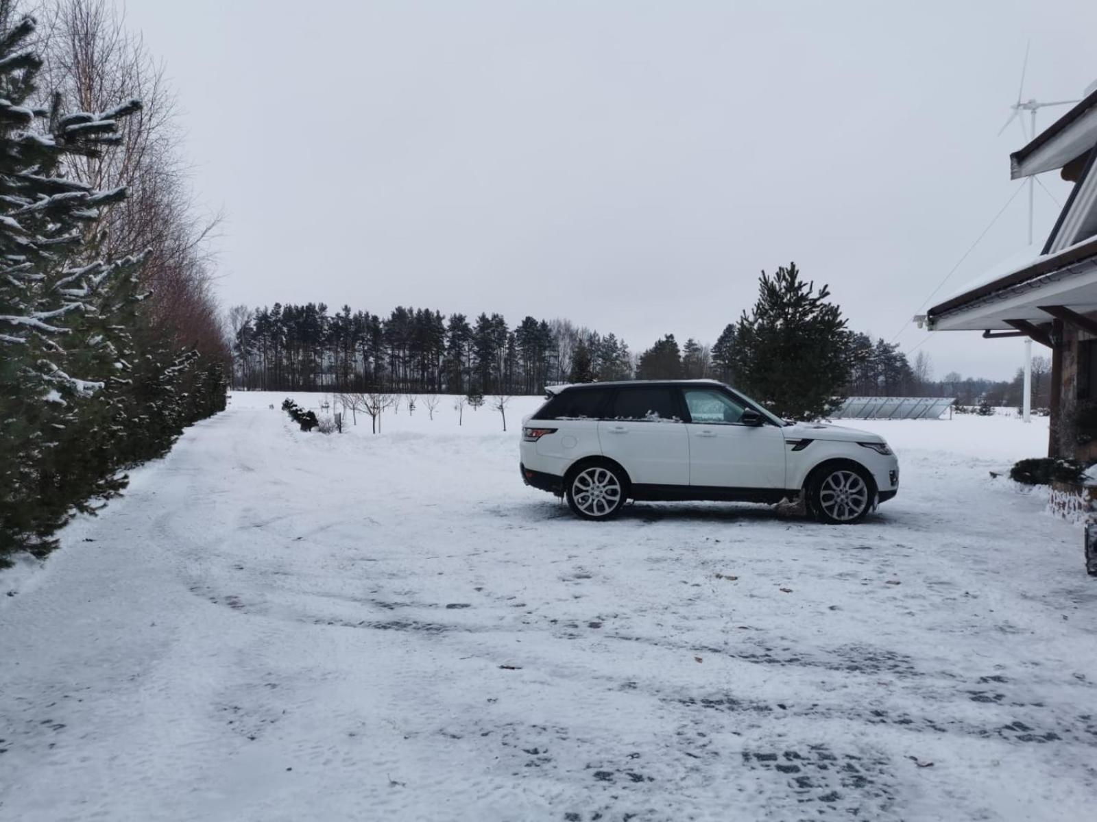 Ąžuolas