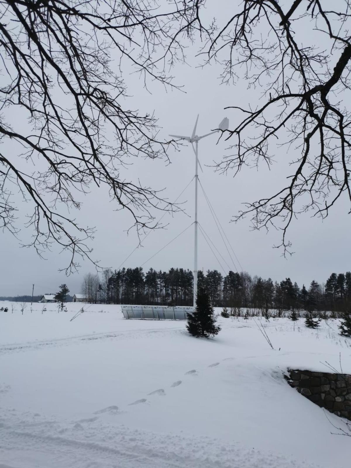 Ąžuolas