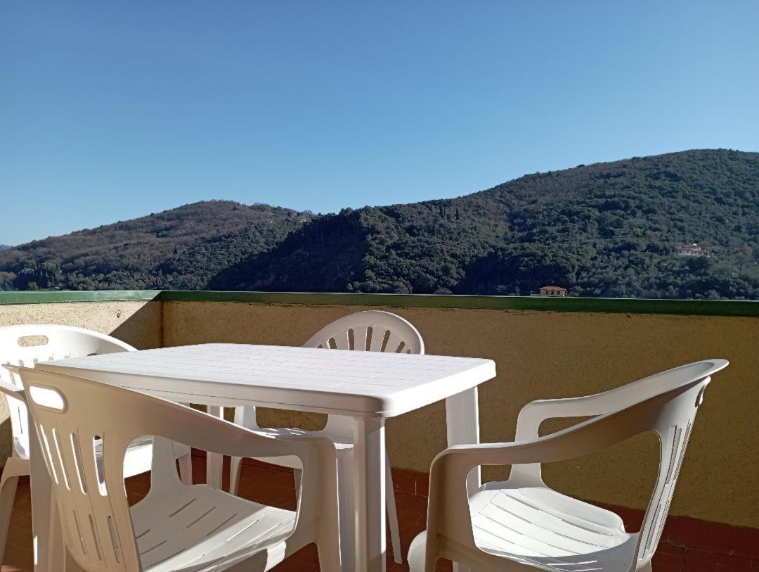 Dagli ulivi al mare