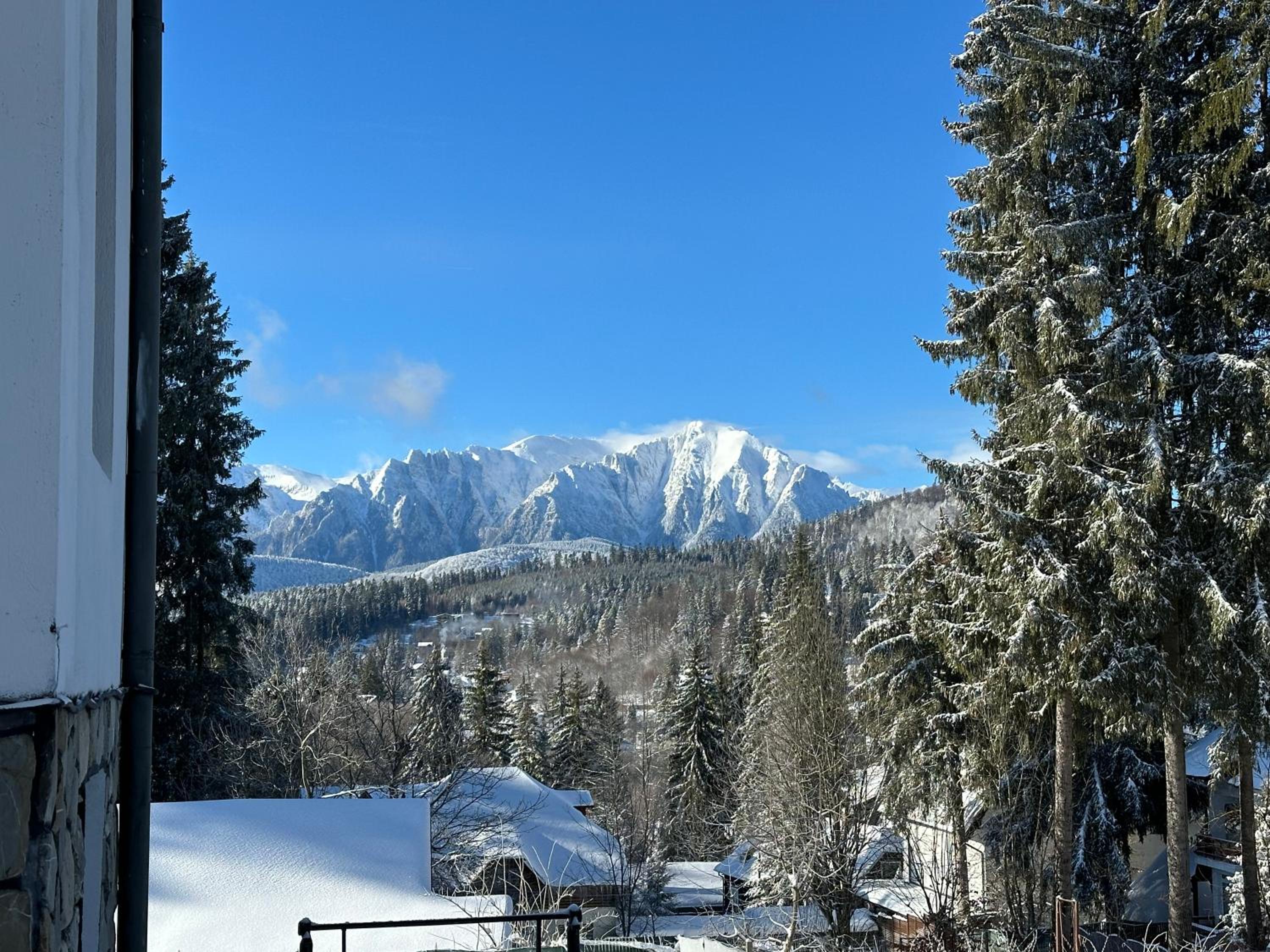 Pine Peak