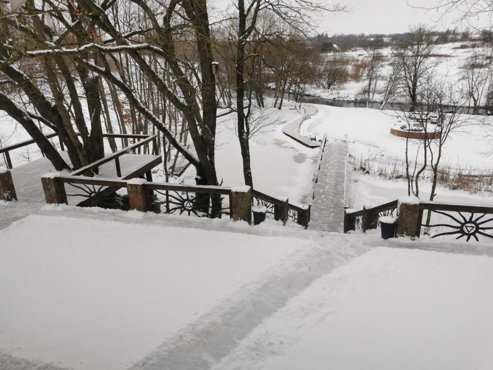 Ąžuolas