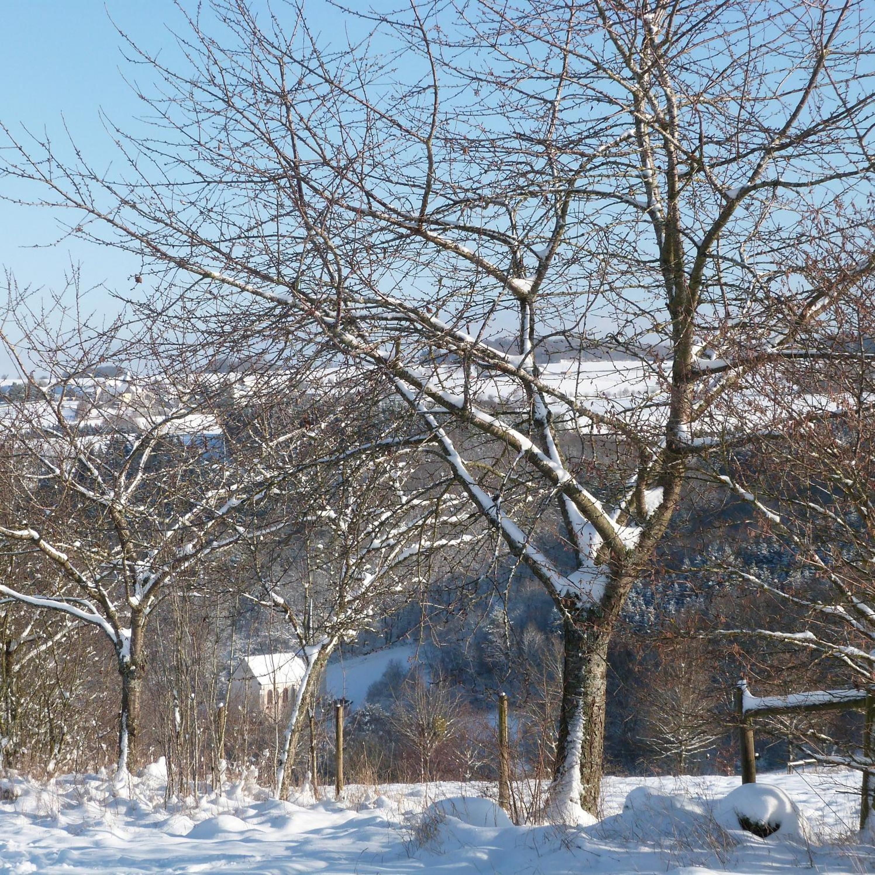 Villa Mosel