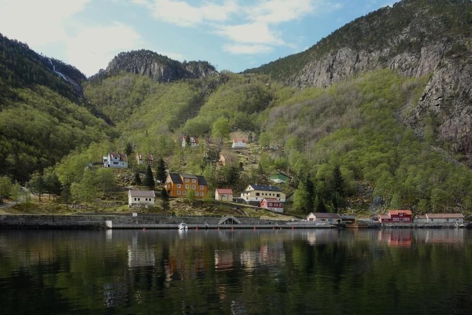 Photo 19