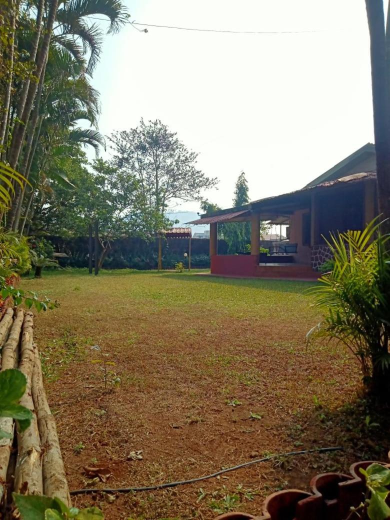 Photo 25