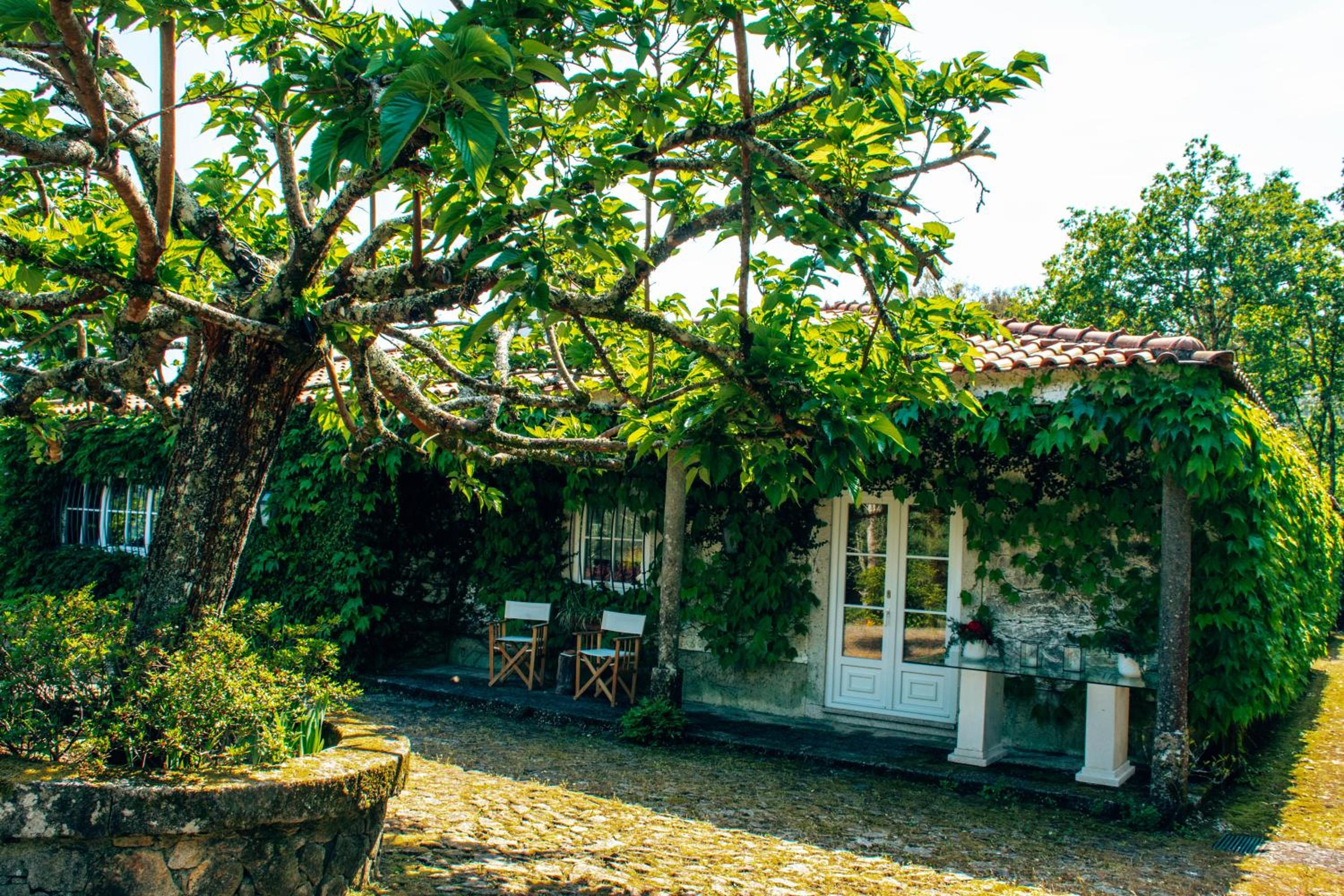 Just Like Home - Casa Da Bouça Velha view 4
