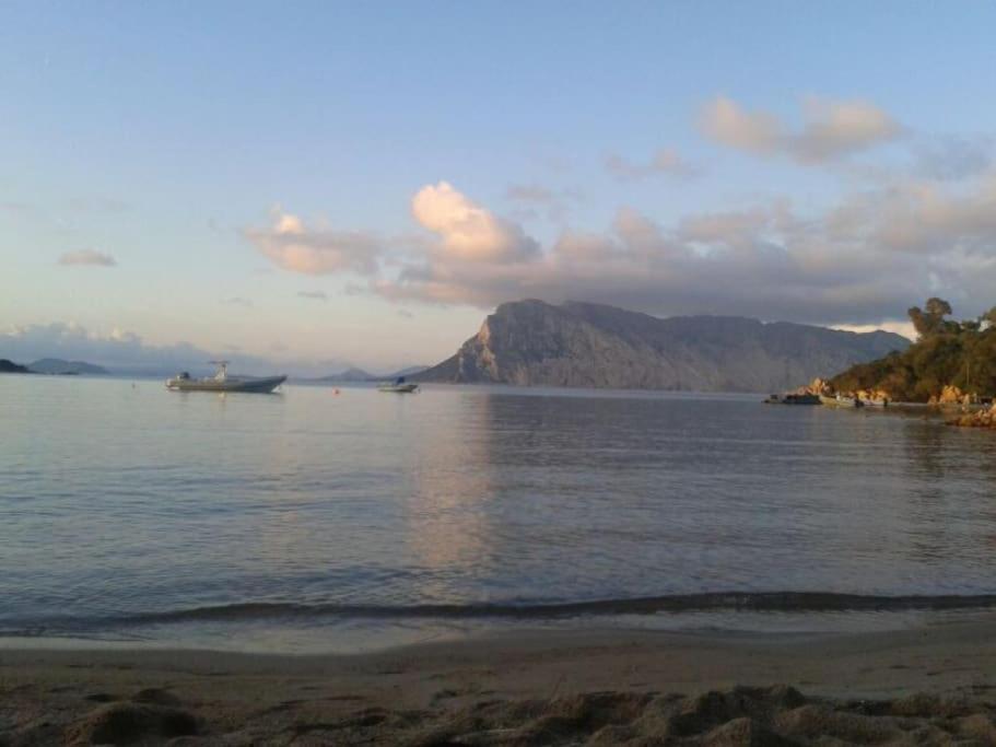 B4 Lu Maestrali view 5
