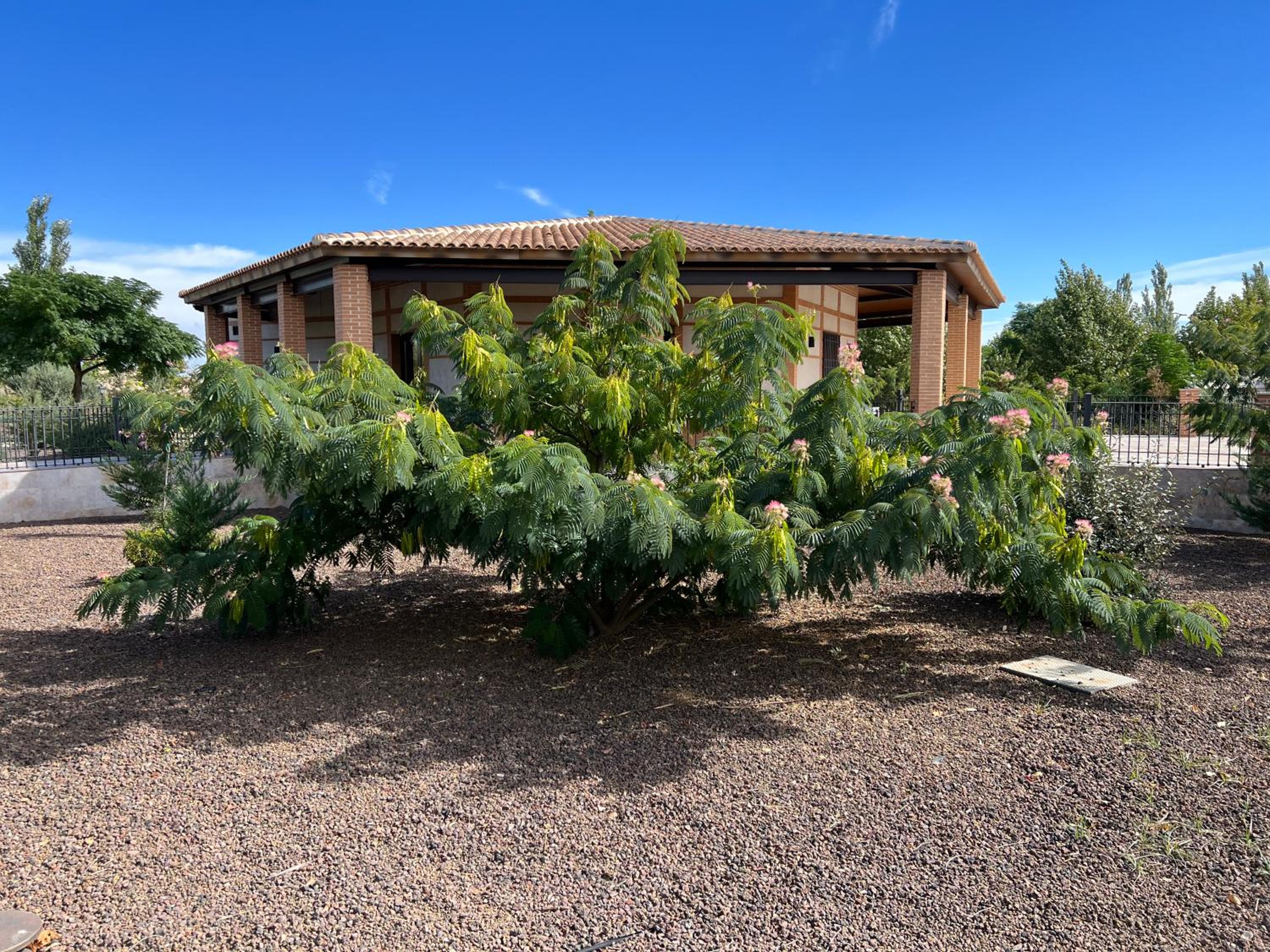 Finca Alarcos