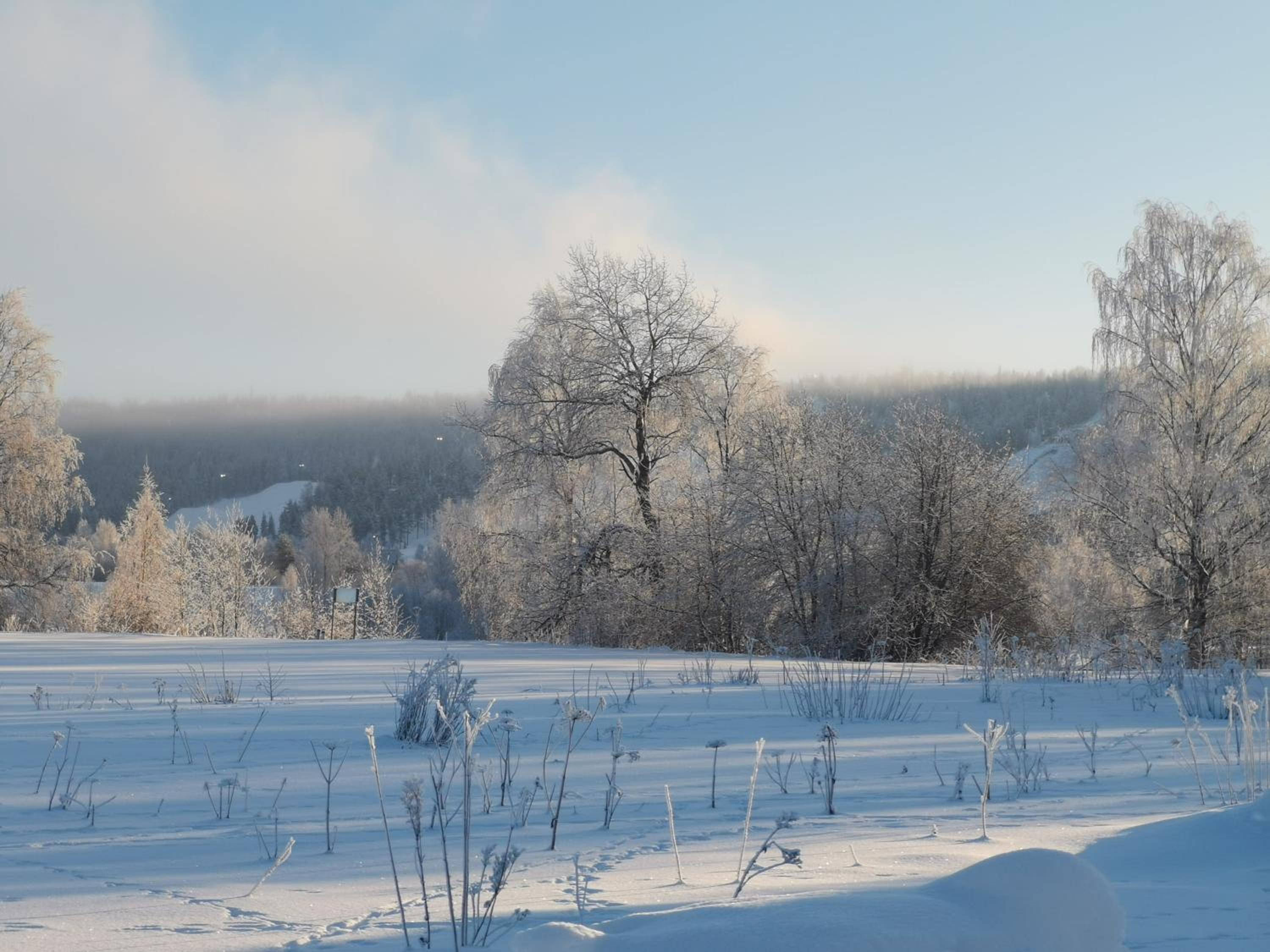 Rovaniemi - quality detached house with sauna nearby services