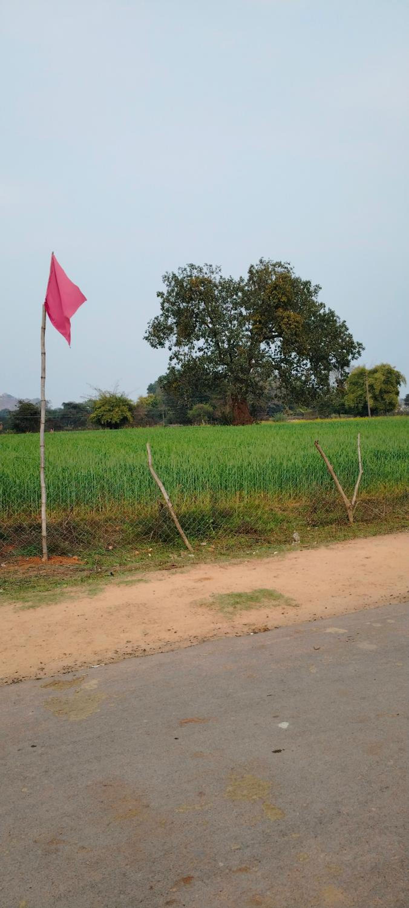Laxmi home stay view 5