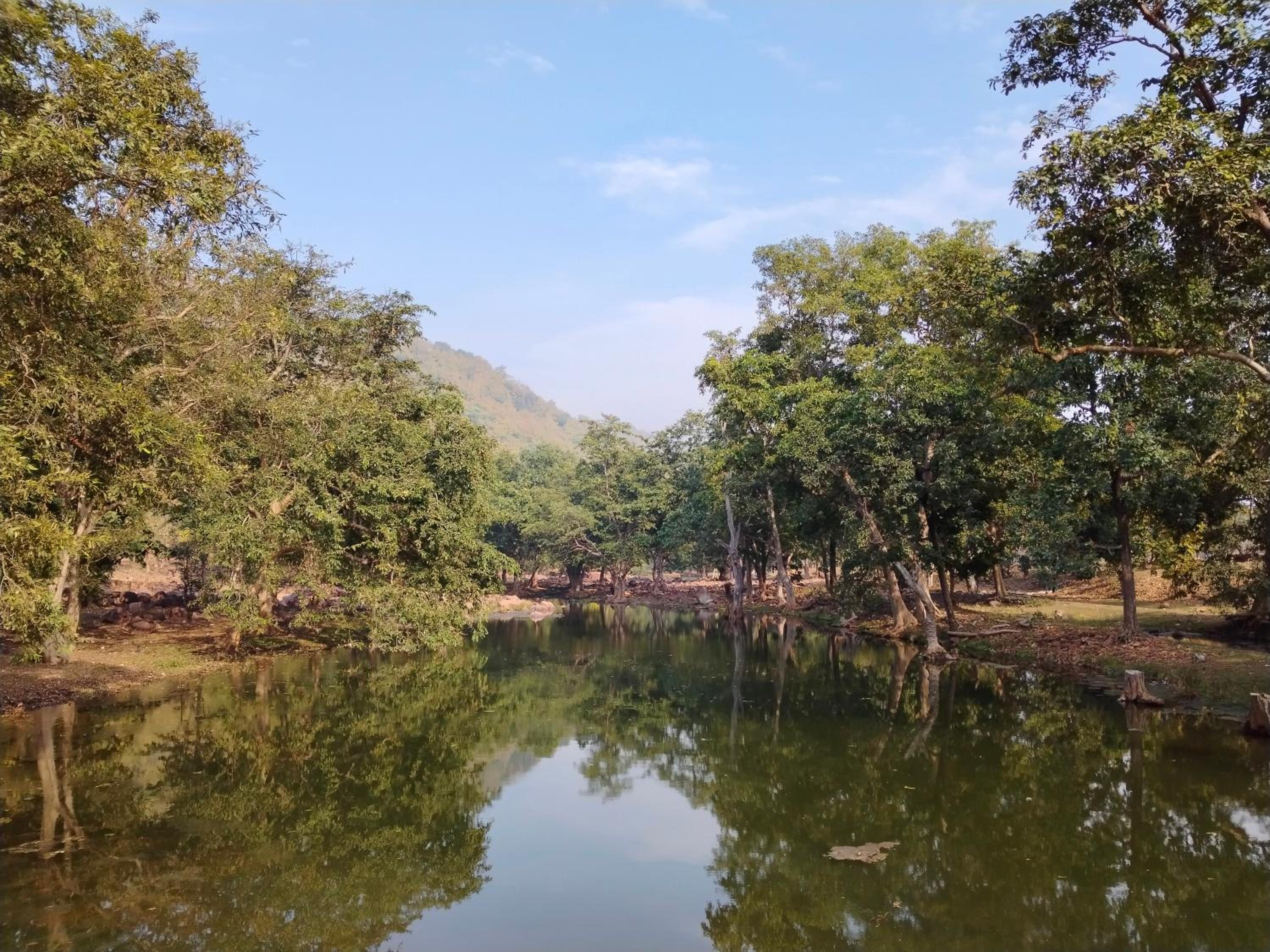Laxmi home stay view 2