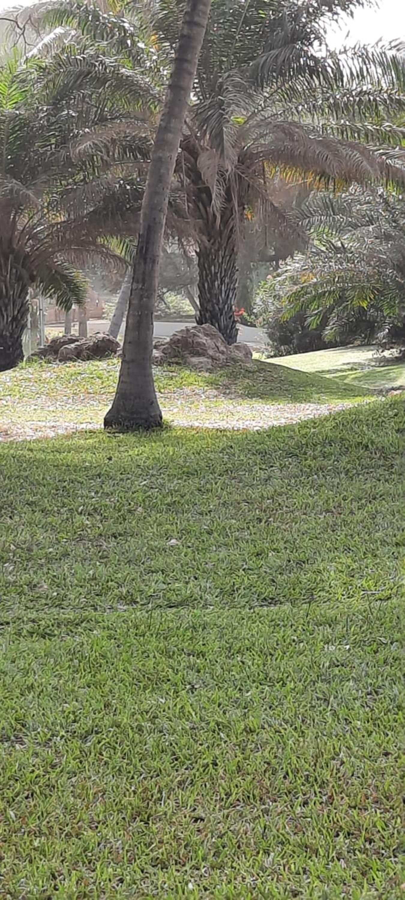 Photo 33