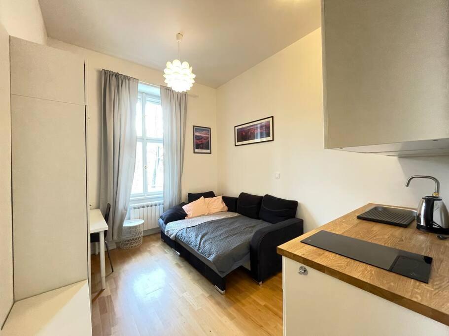Cosy apartment on metro Muzeum - Grand Canyon