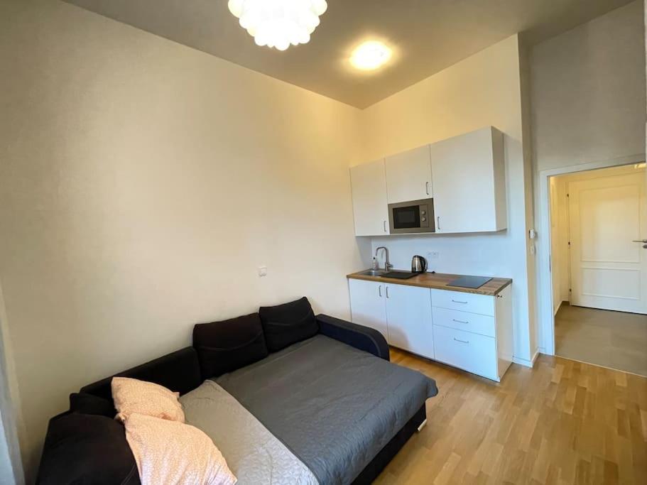 Cosy apartment on metro Muzeum - Grand Canyon