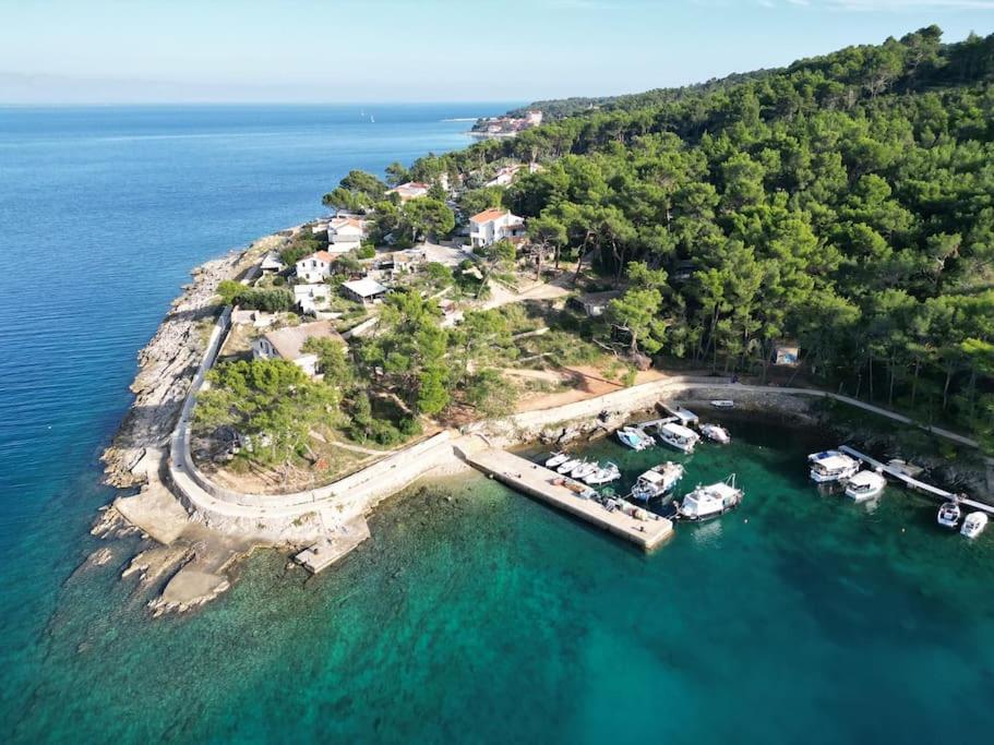 Studio Dubravka view 5