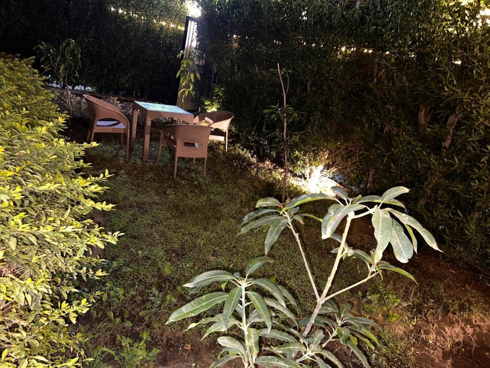 Cozy Apartment With Garden in sheikh Zayed