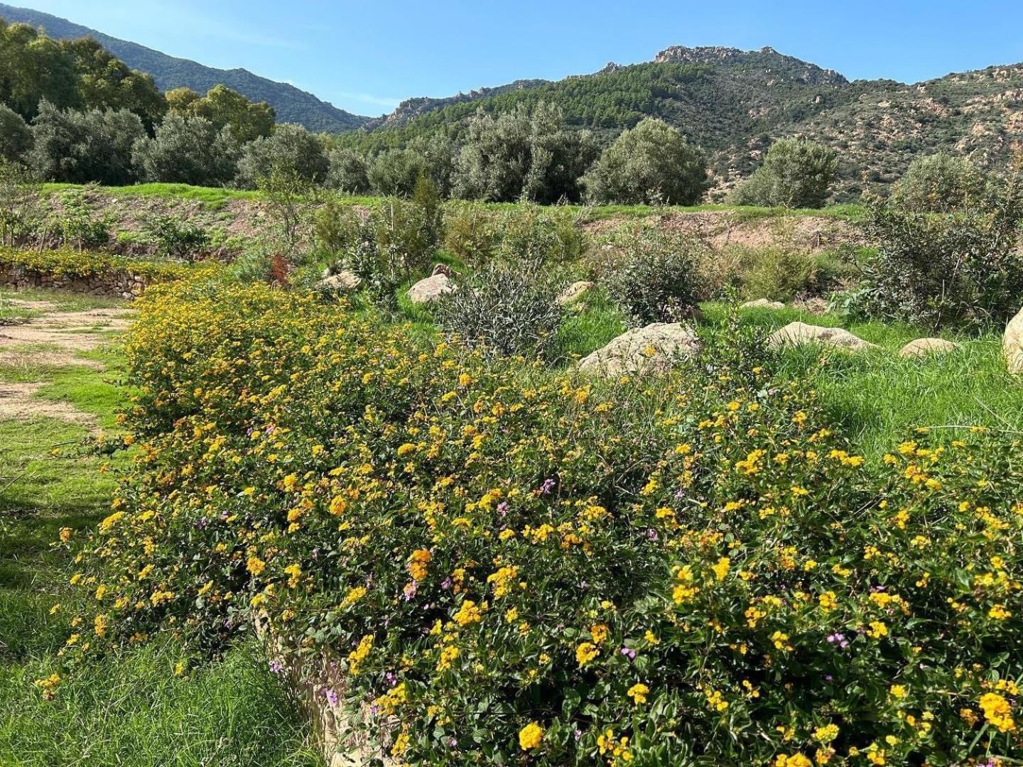 Agriturismo la biada