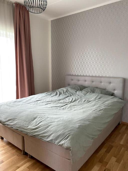 Cozy one bedroom apartment