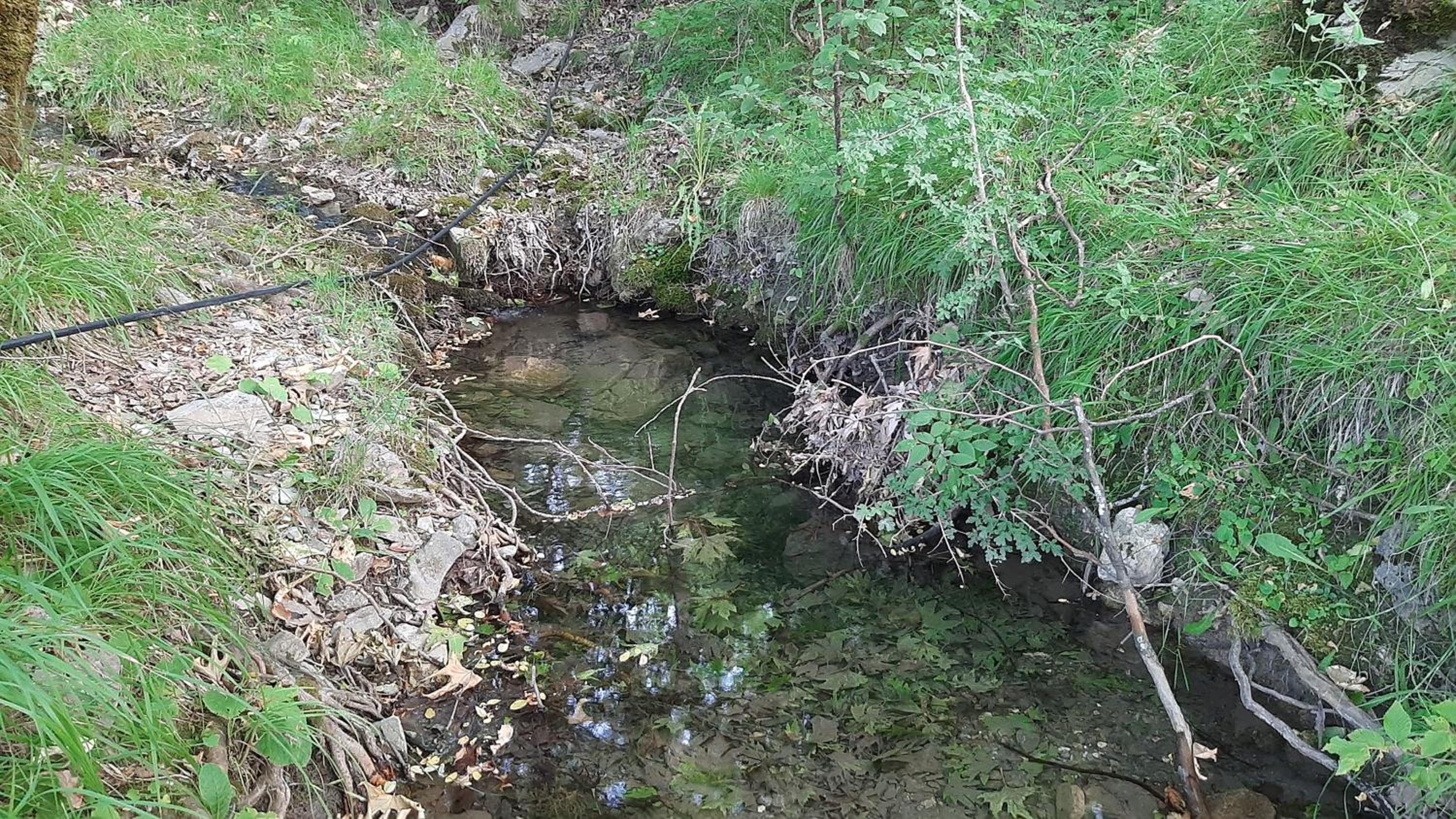 Kria Vrisi